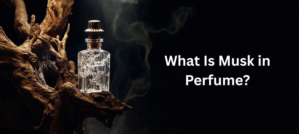 What Is Musk in Perfume?