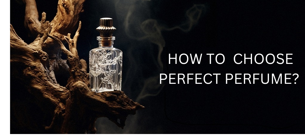 How to Choose the Perfect Perfume: A Step-by-Step Guide